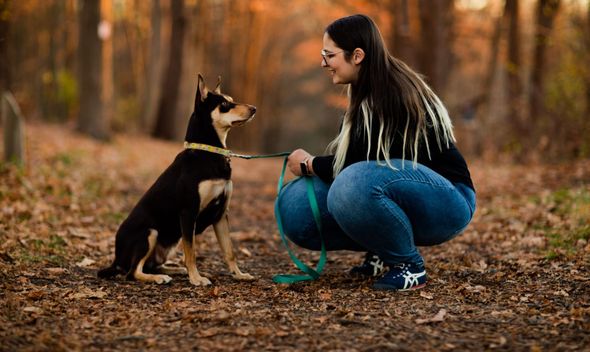 Dr Jessi Turner is kneeling down next to a dog on a leash in the woods .