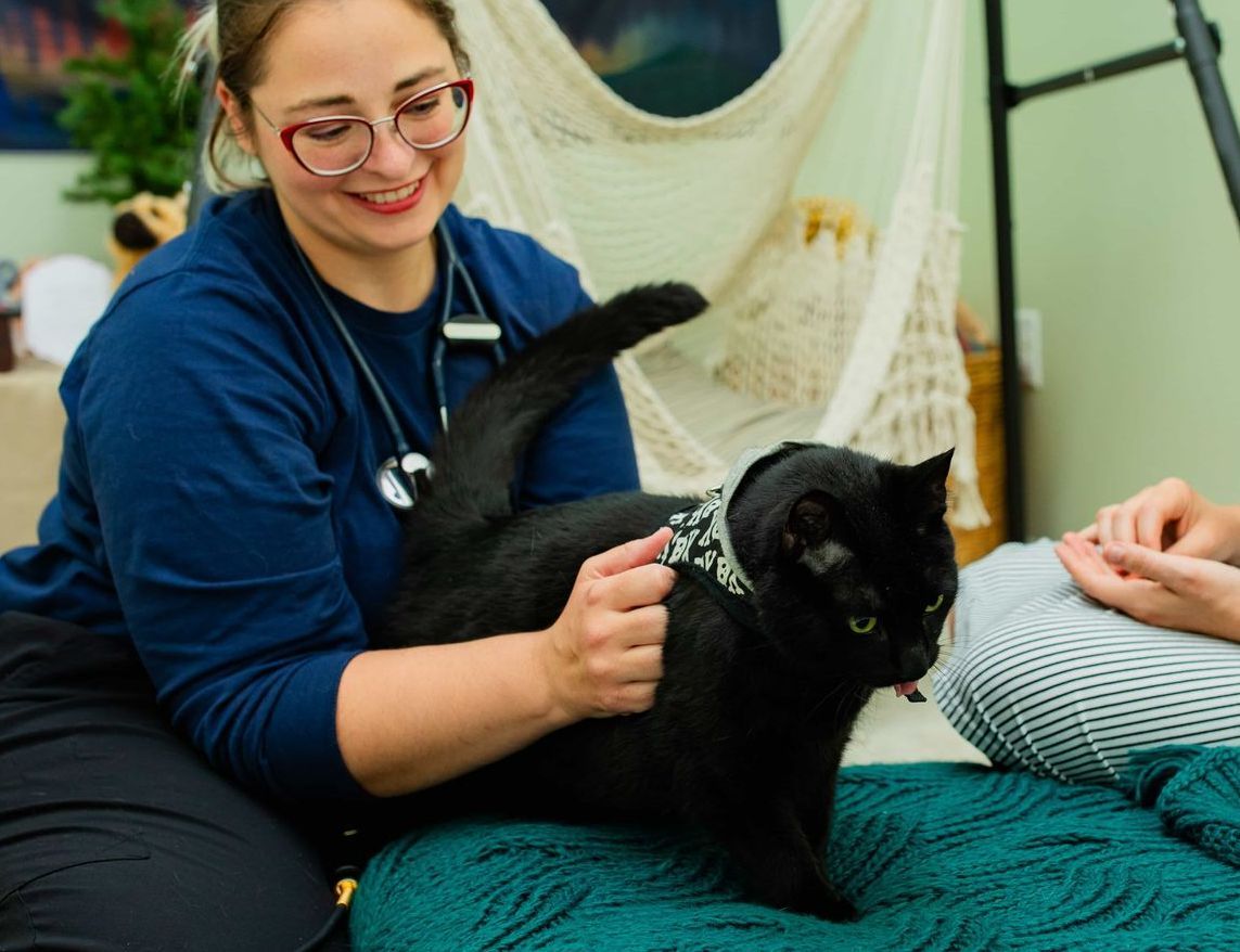 a woman is petting a black cat on a bed .