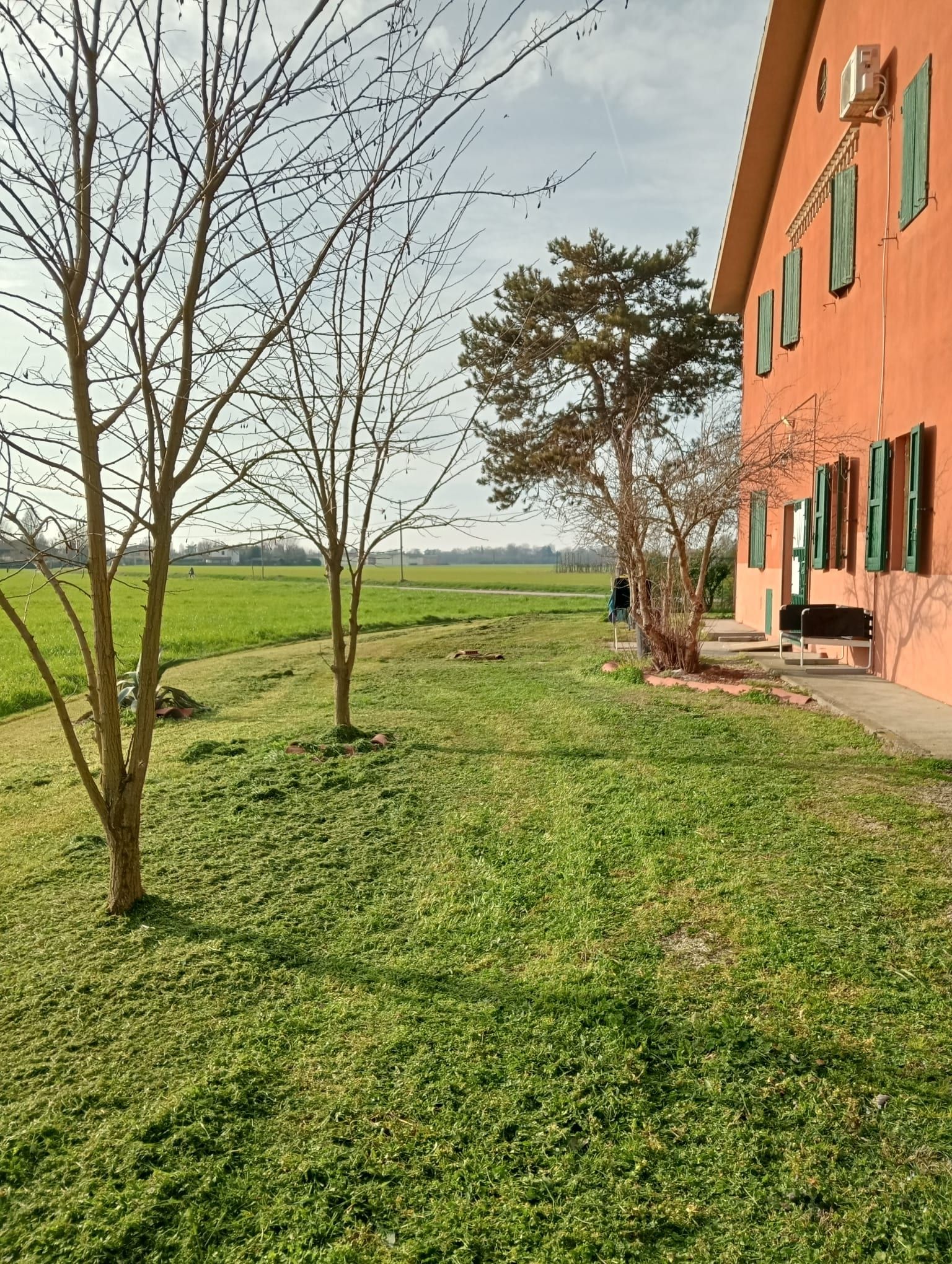 Erba verde rigogliosa accanto a un edificio color corallo con le finestre chiuse; alberi spogli; campo verde in lontananza.