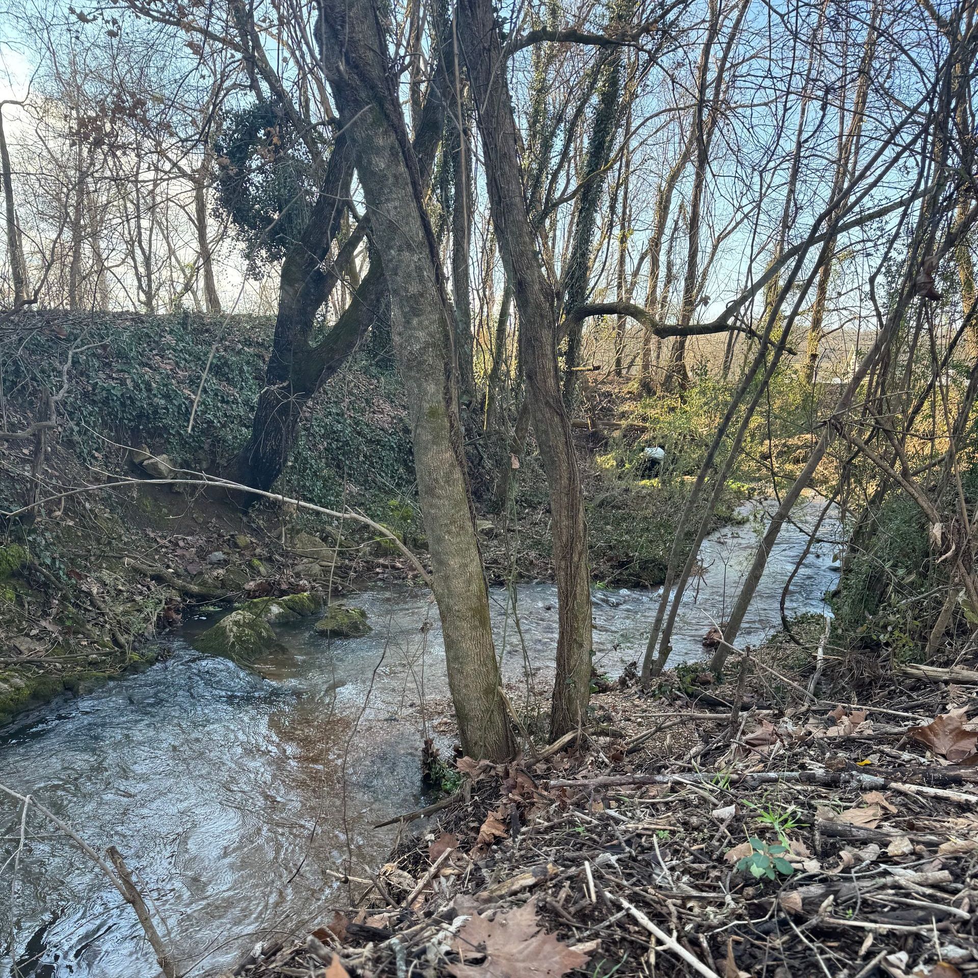 big spring nature trail cotter ar photo by Shirley Freeman