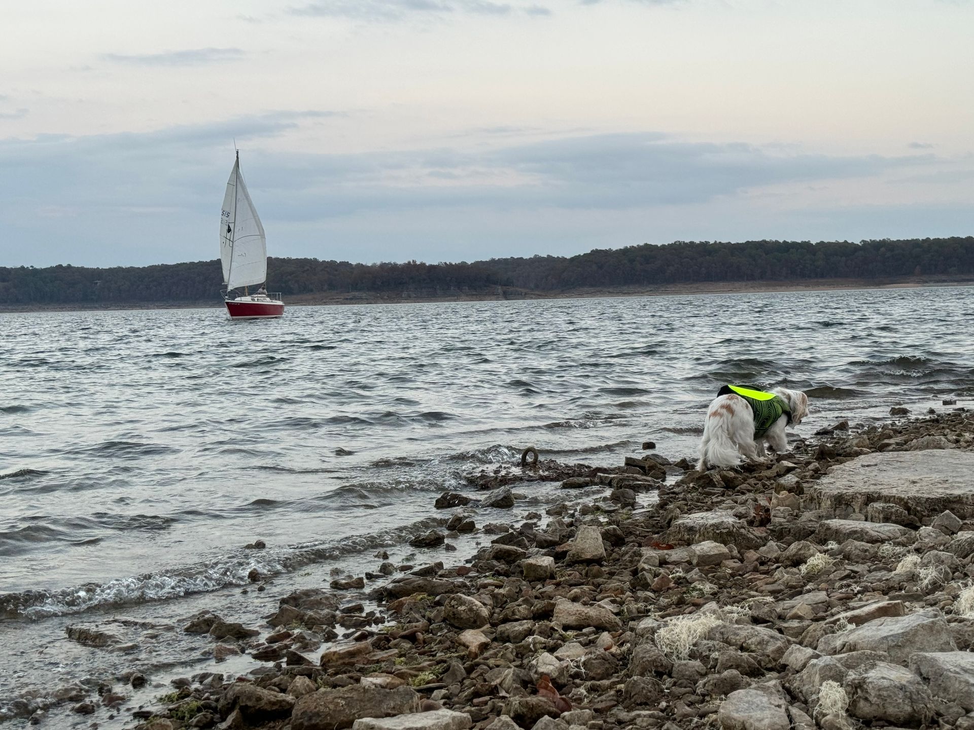 sail boat on bull shoals lake in Arkansas photo by Shirley Freeman