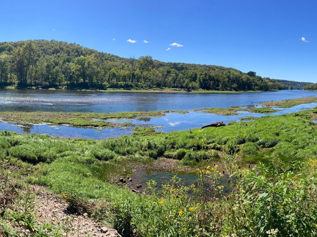 white river float trip Arkansas photo by Shirley Freeman