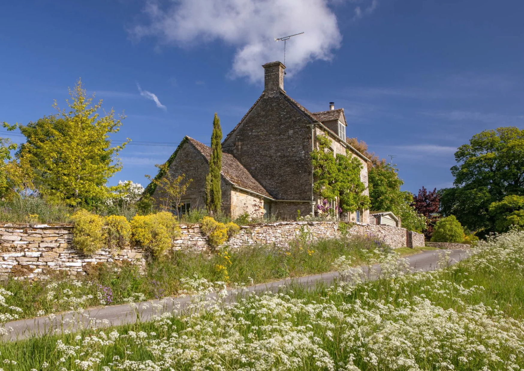 A dock leading to the ocean with a tree in the foreground