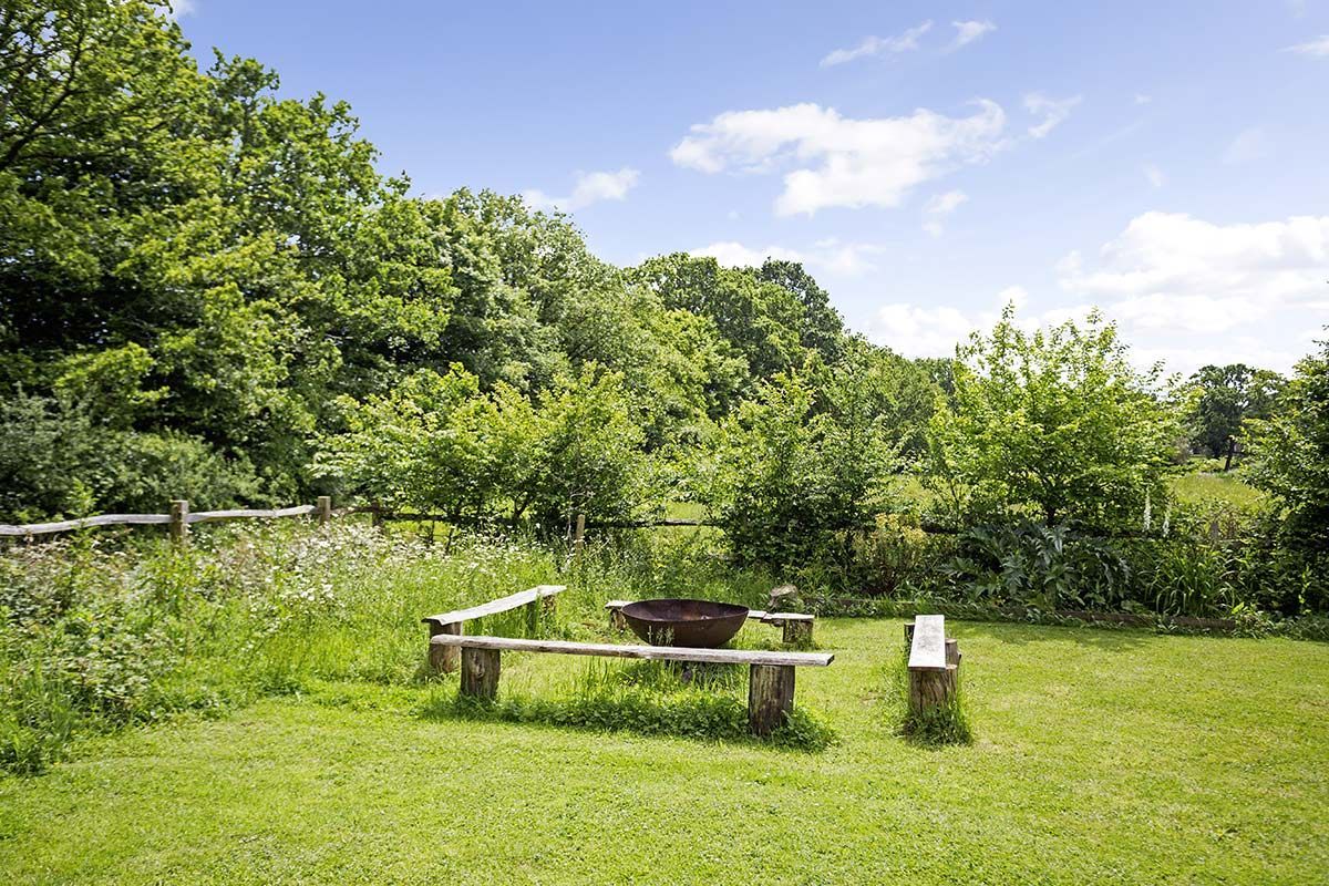 Fire pit area with log benches in a grassy clearing surrounded by trees under a blue sky.