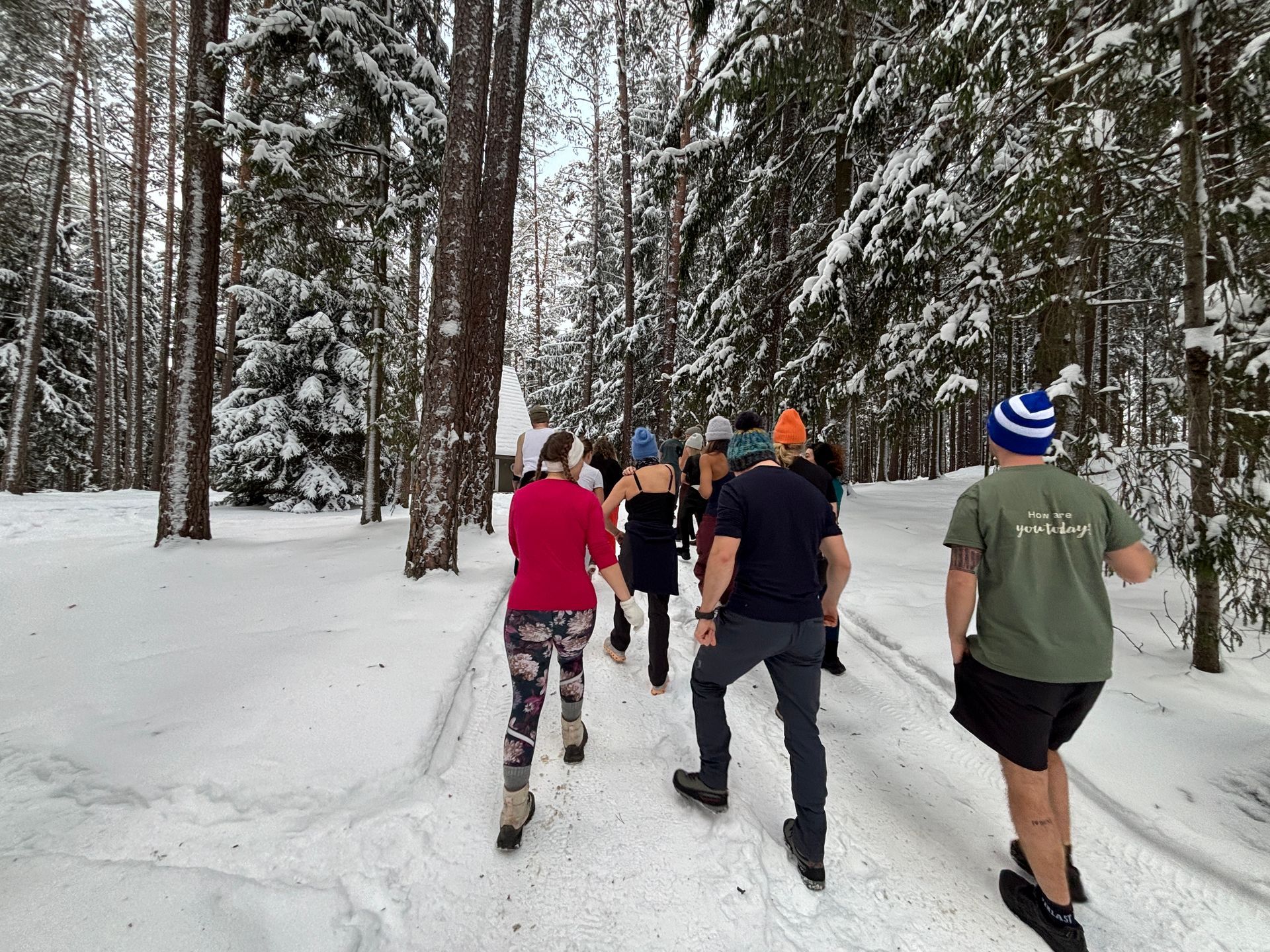 People ice skating on a snowy trail in a forest, trees on either side.