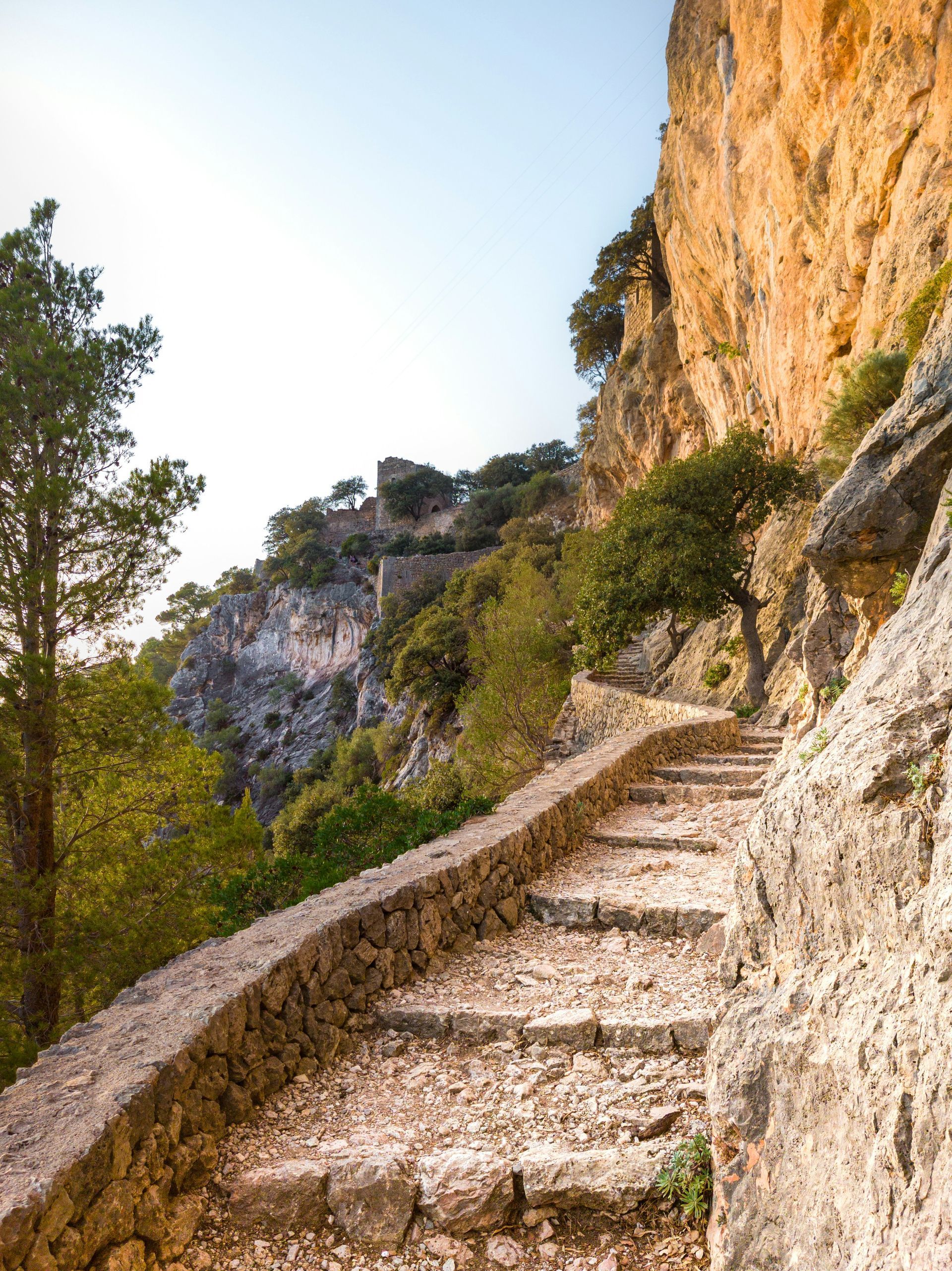 A stone path leading up to a cliff with trees on the side.