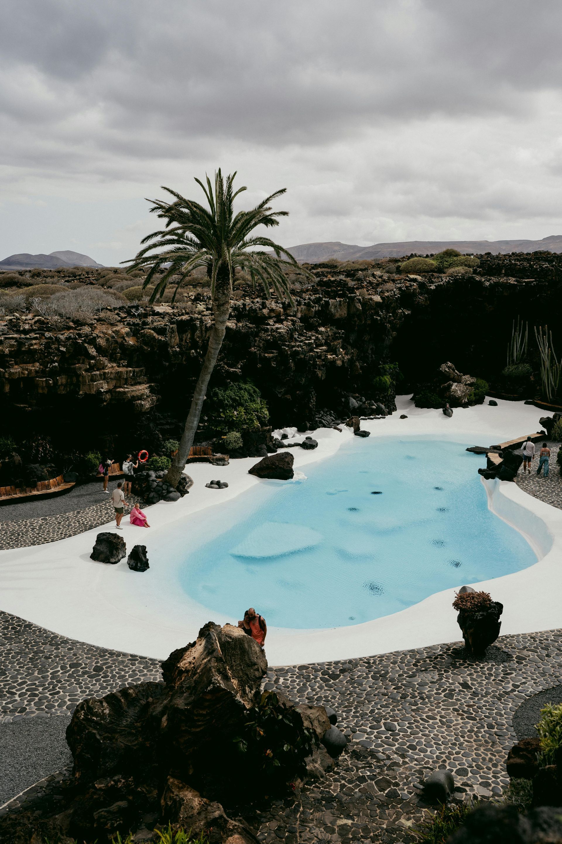 A large swimming pool surrounded by rocks and a palm tree.