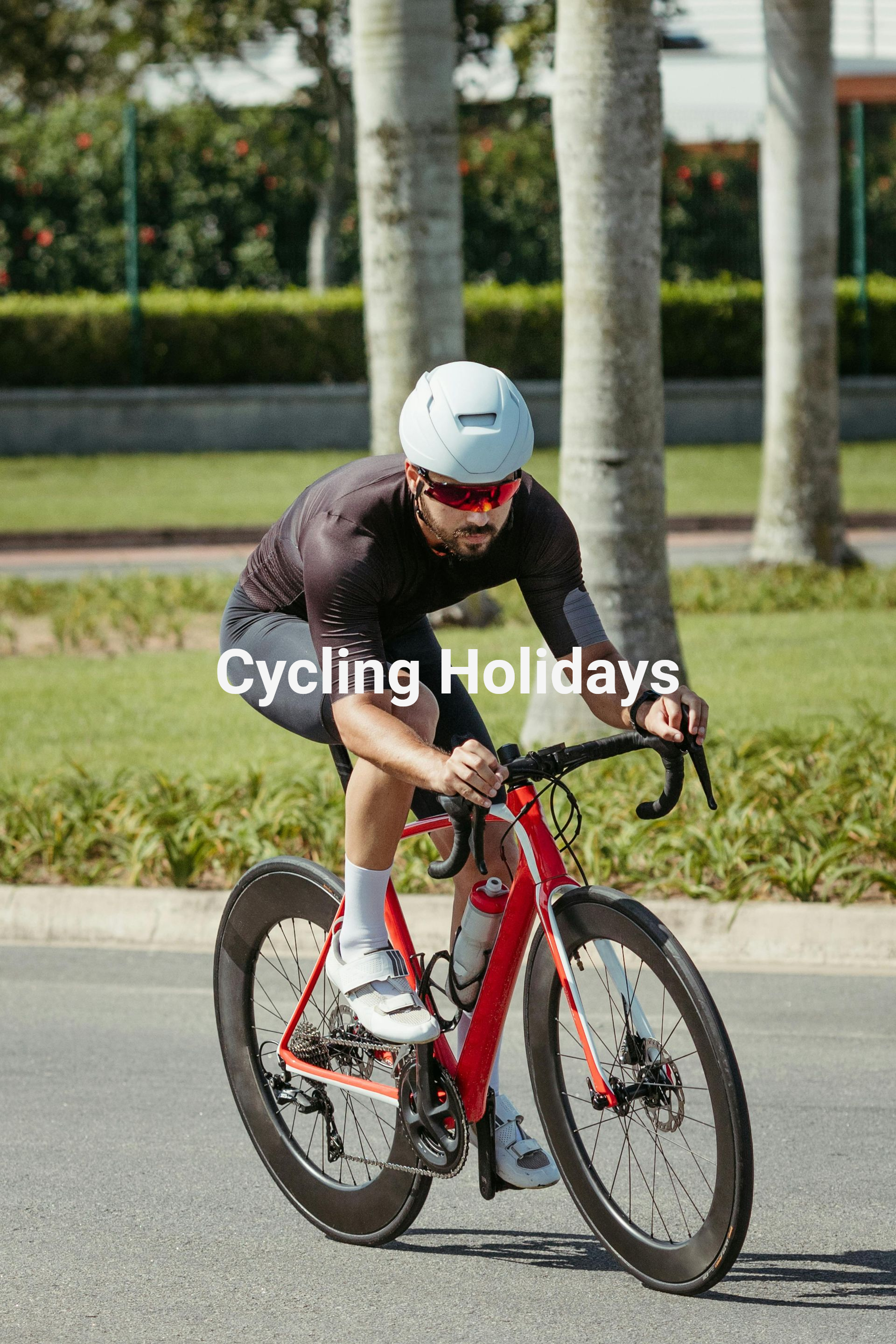 Silhouetted people jumping with joy on a beach at sunset, text