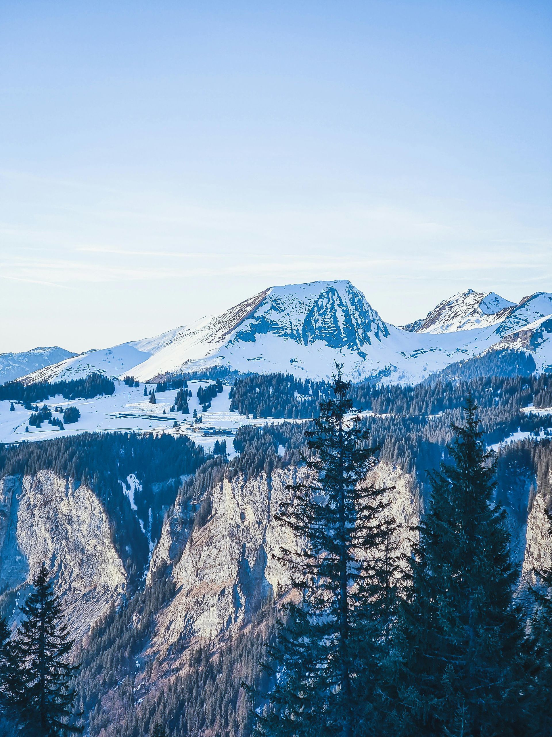 A snowy mountain range with trees in the foreground