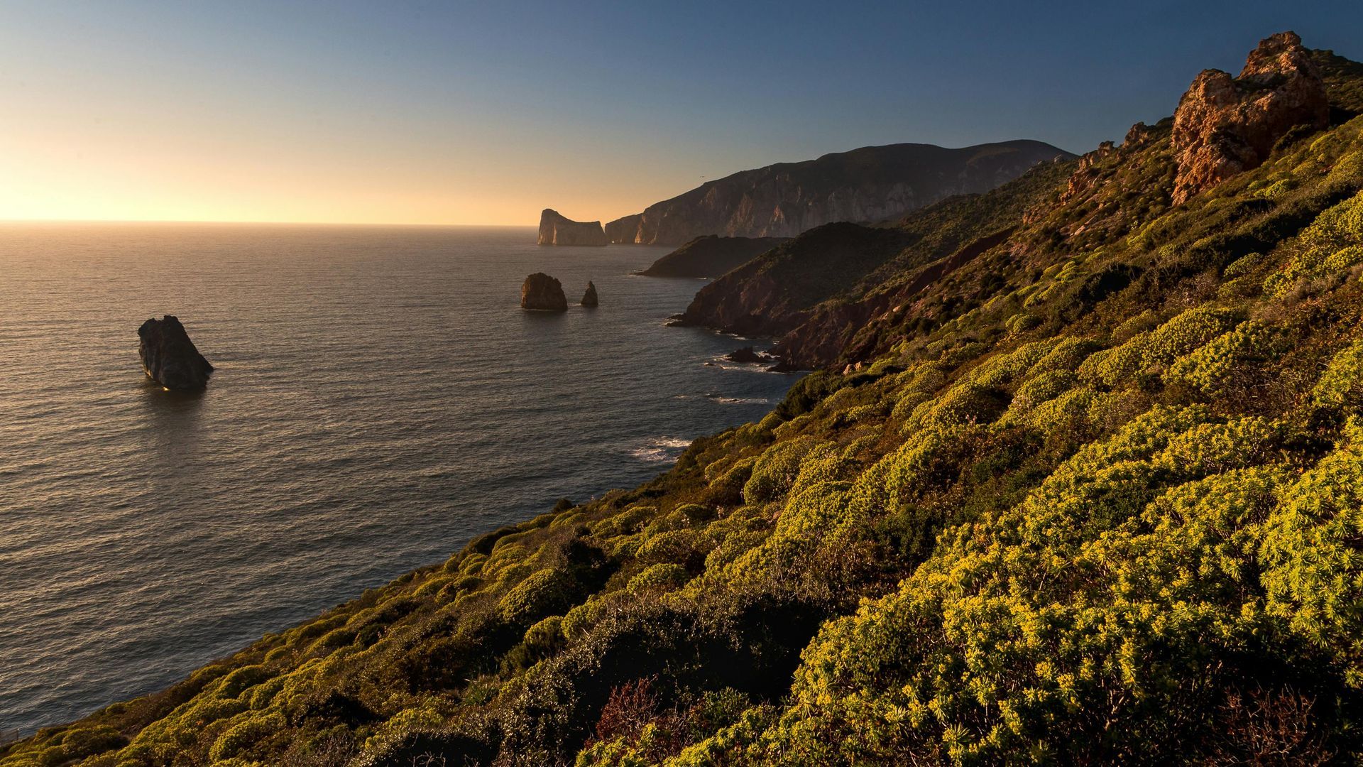 A cliff overlooking the ocean with a sunset in the background