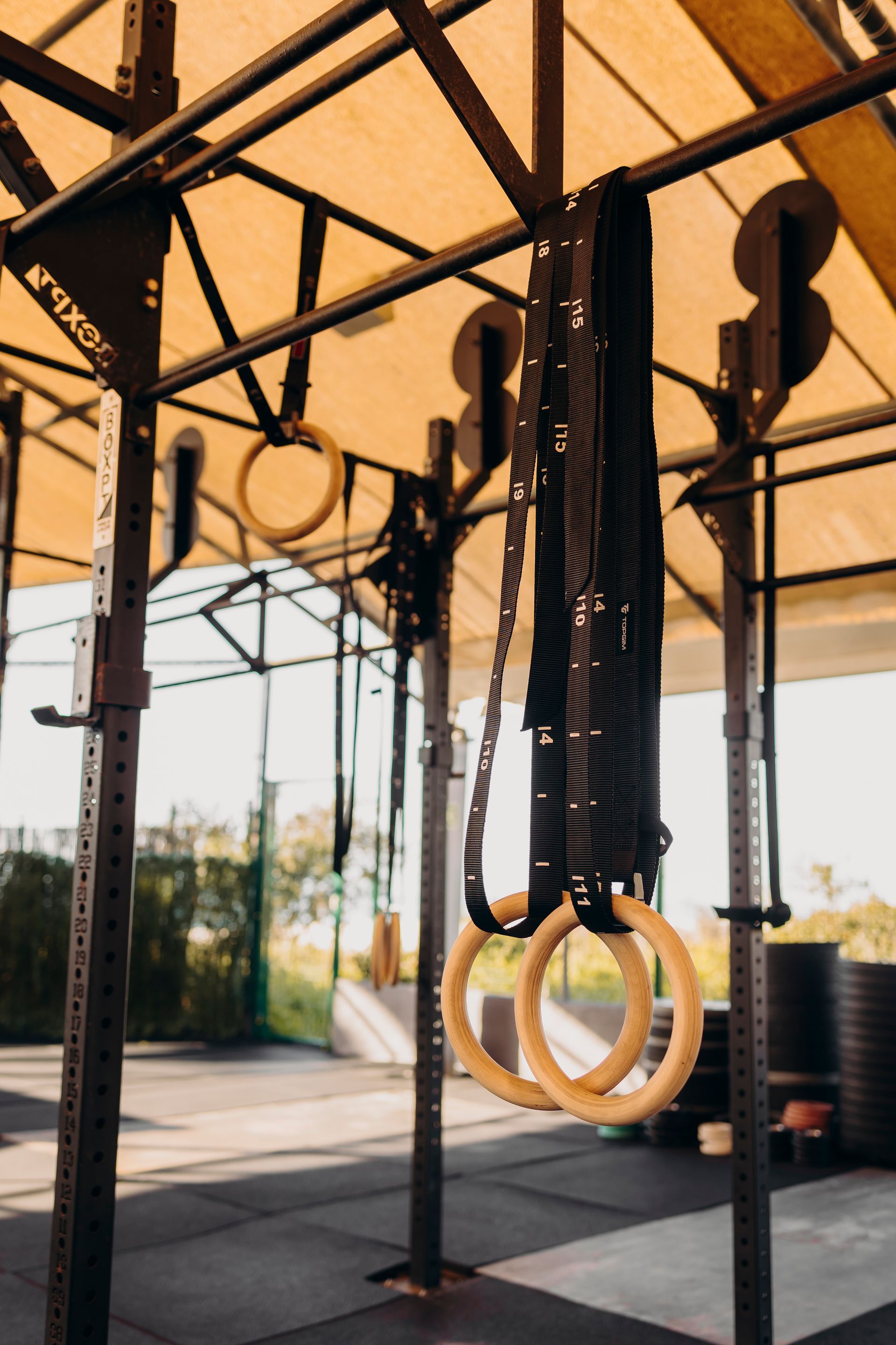 Gymnastic rings hanging from a metal pull-up rig in an open-air gym setting.
