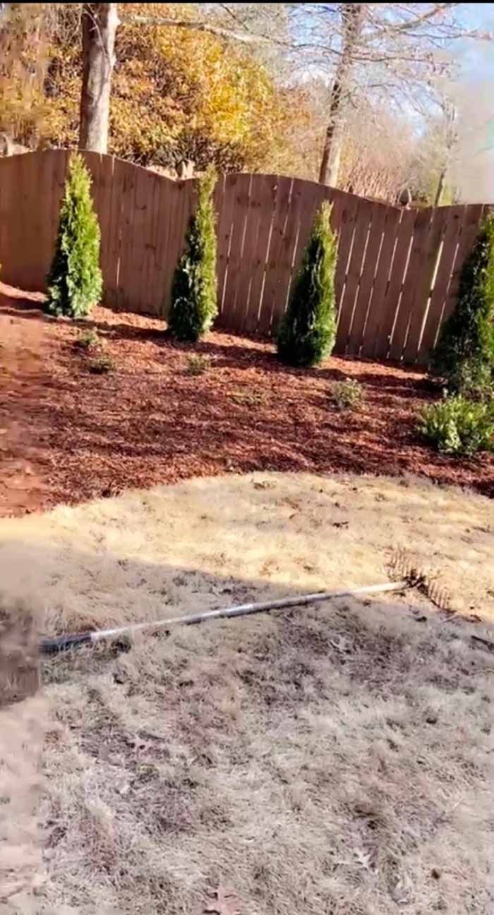A person is raking dirt in a backyard with a wooden fence in the background.