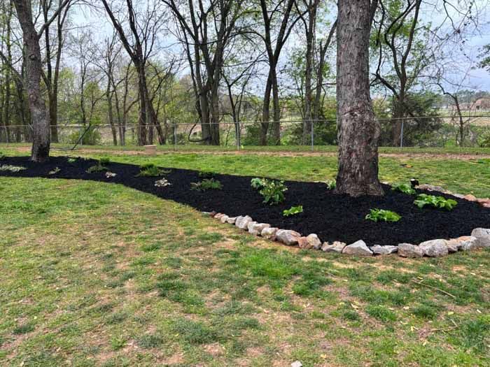 A lush green yard with a tree in the middle of it surrounded by trees and rocks.