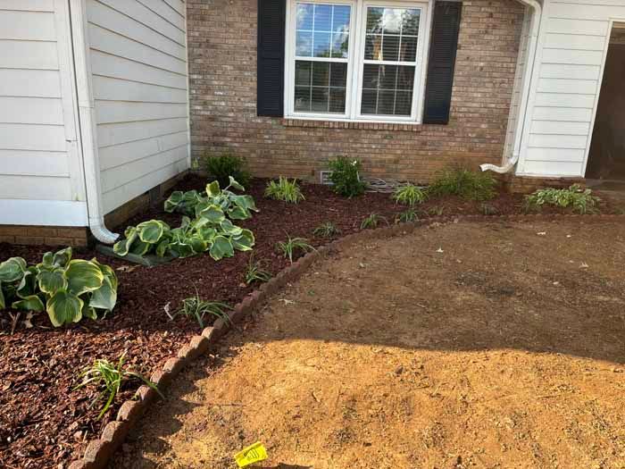 A house with a lot of plants in front of it.
