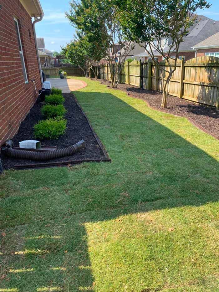 A lush green lawn next to a brick house with a wooden fence.