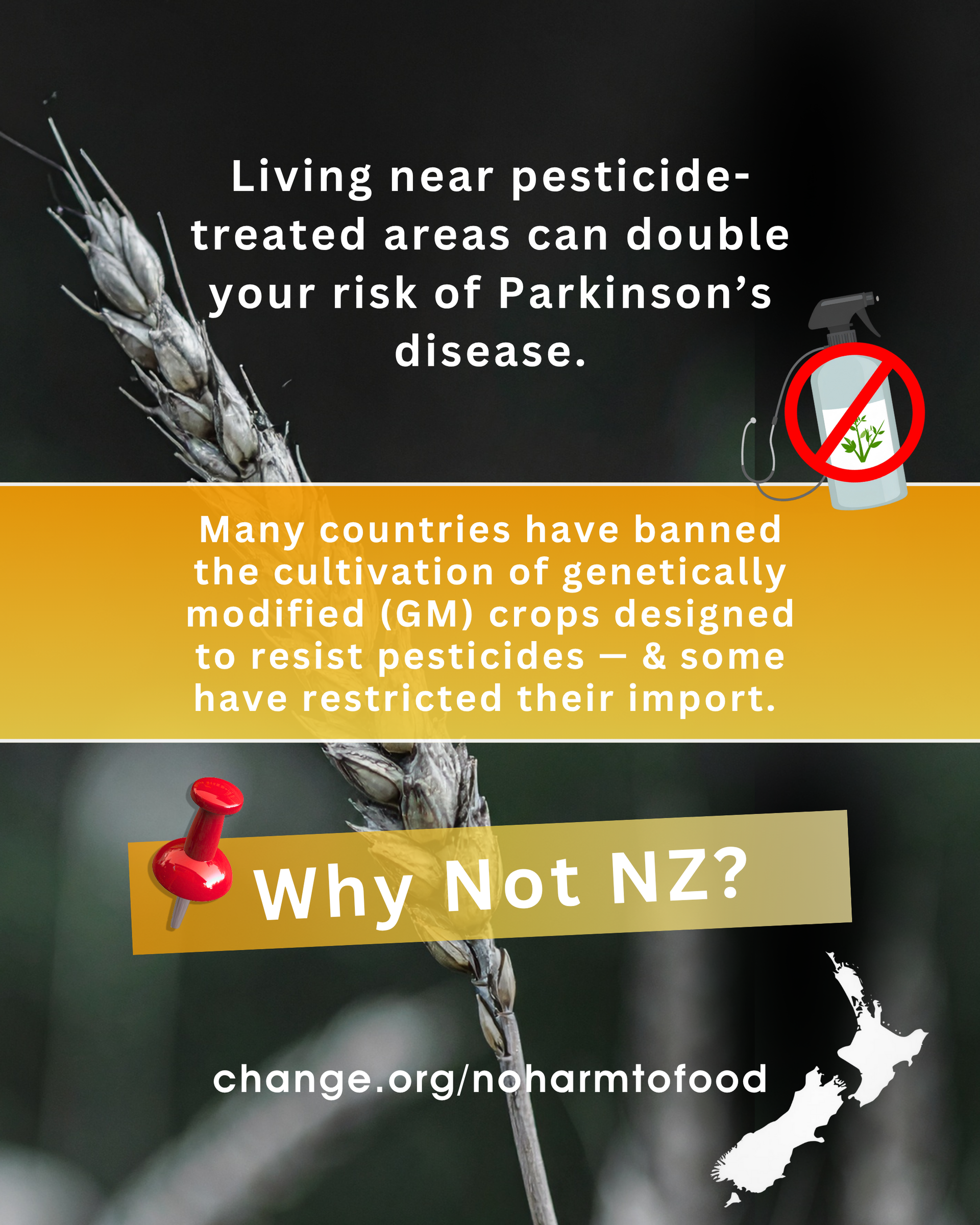 Poster: Wheat stalk with text warning about pesticide exposure and Parkinson's, questioning NZ's stance on GM crops.