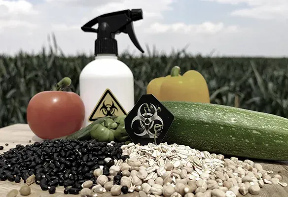 Vegetables and grains arranged with a biohazard-labeled spray bottle.