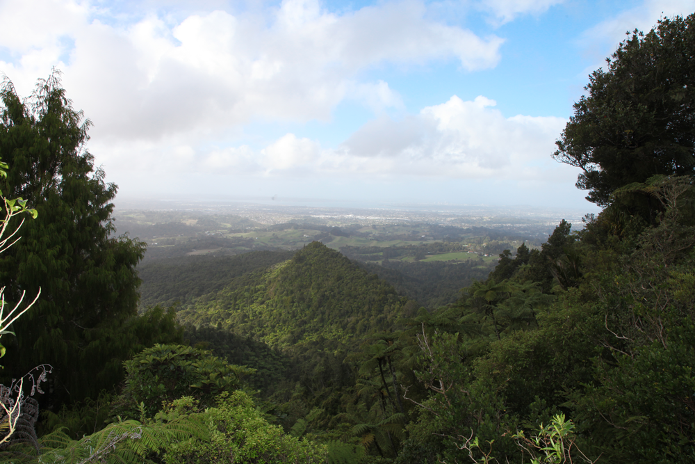 New Zealand
