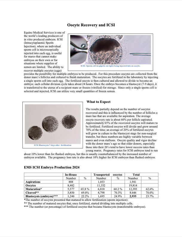 Oocyte (ICSI) Contract