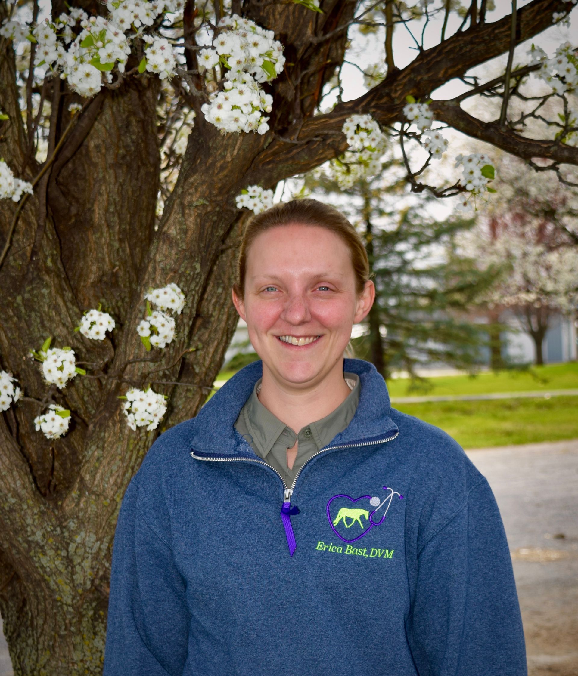 Equine Medical Services | Contact Dr. Erica Bast Today!