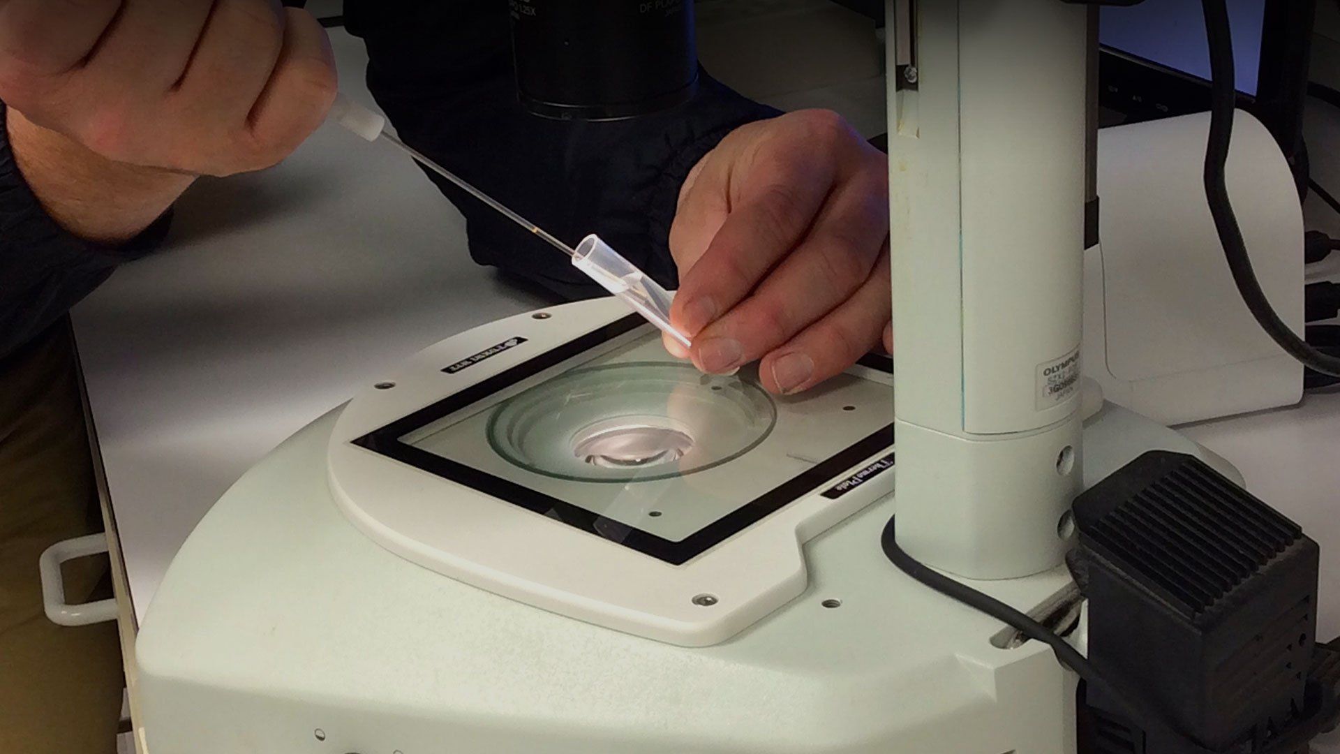 Equine Medical Services Columbia, MO Home