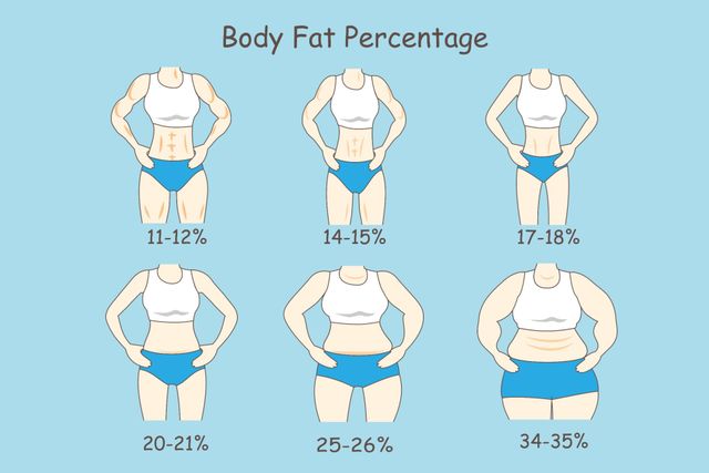 Body fat percentage measurement