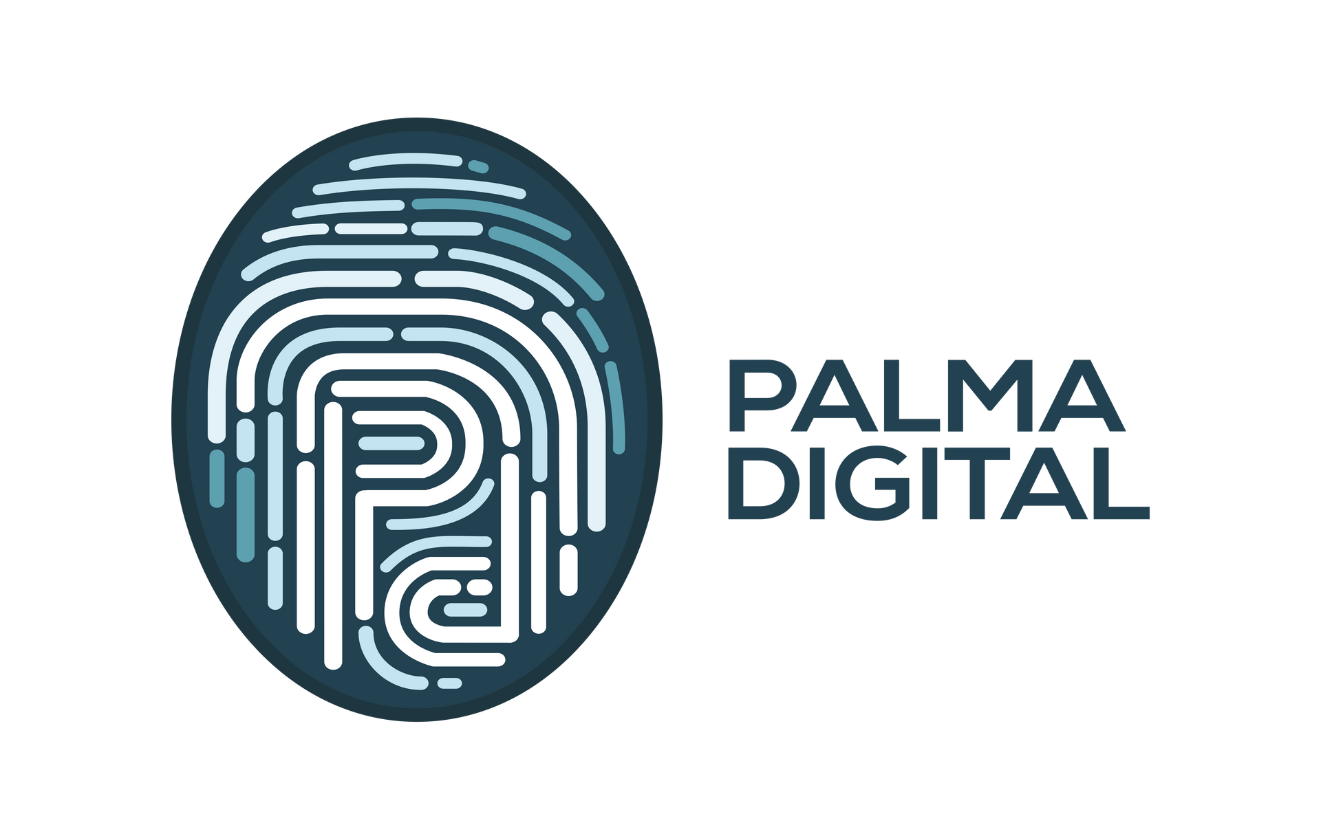 Logotipo para Palma Digital: Diseño en forma de huella dactilar de color azul con líneas blancas y texto “PALMA DIGITAL”.