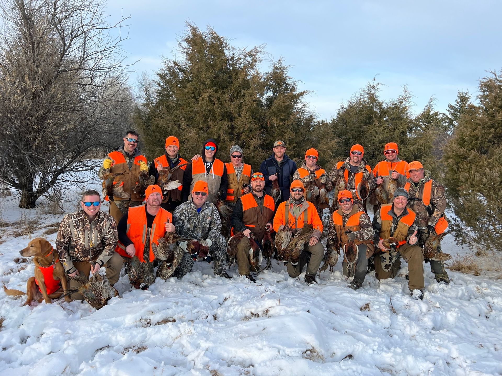 North Dakota Pheasant Hunts