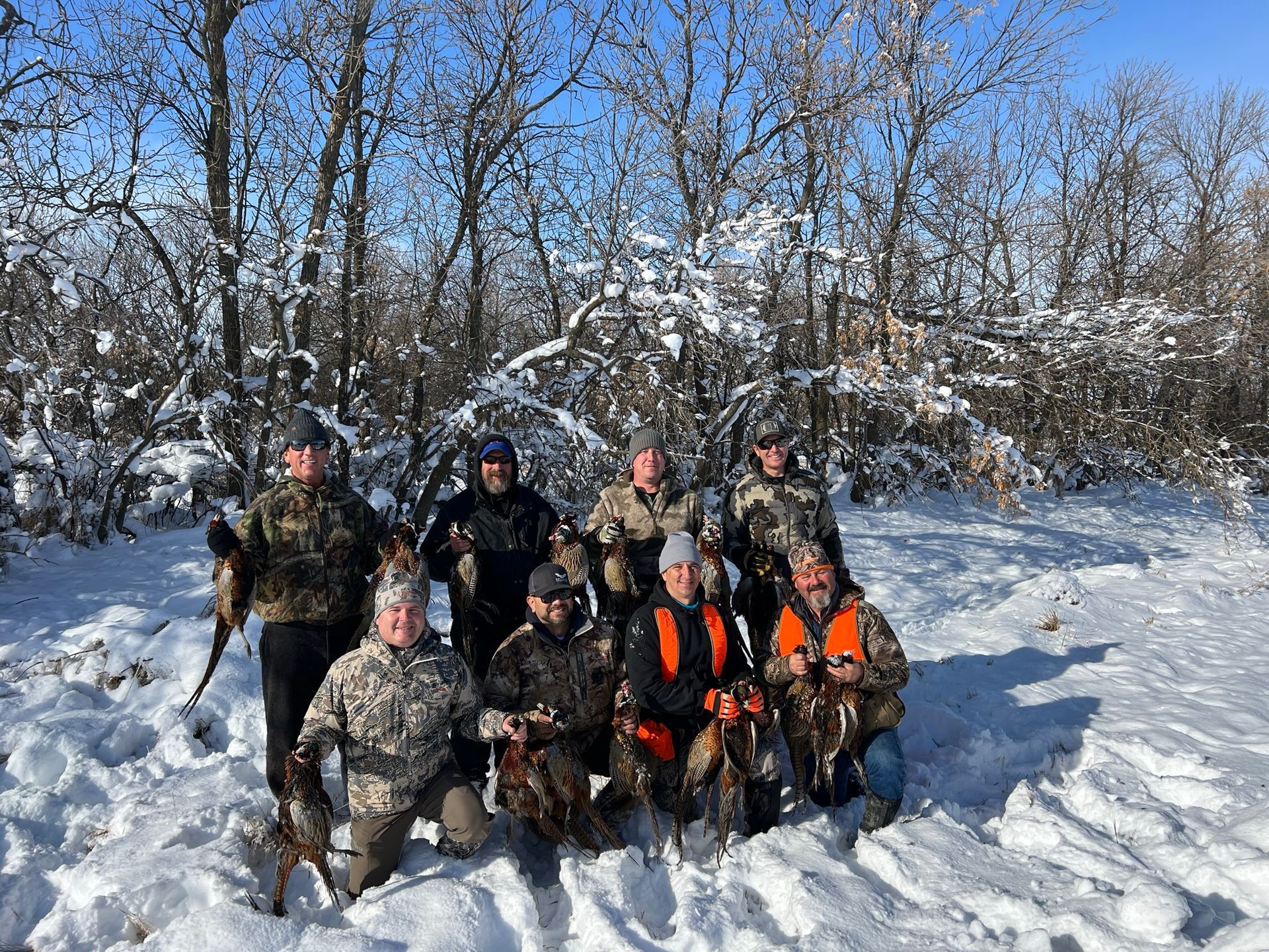 pheasant hunting outfitter