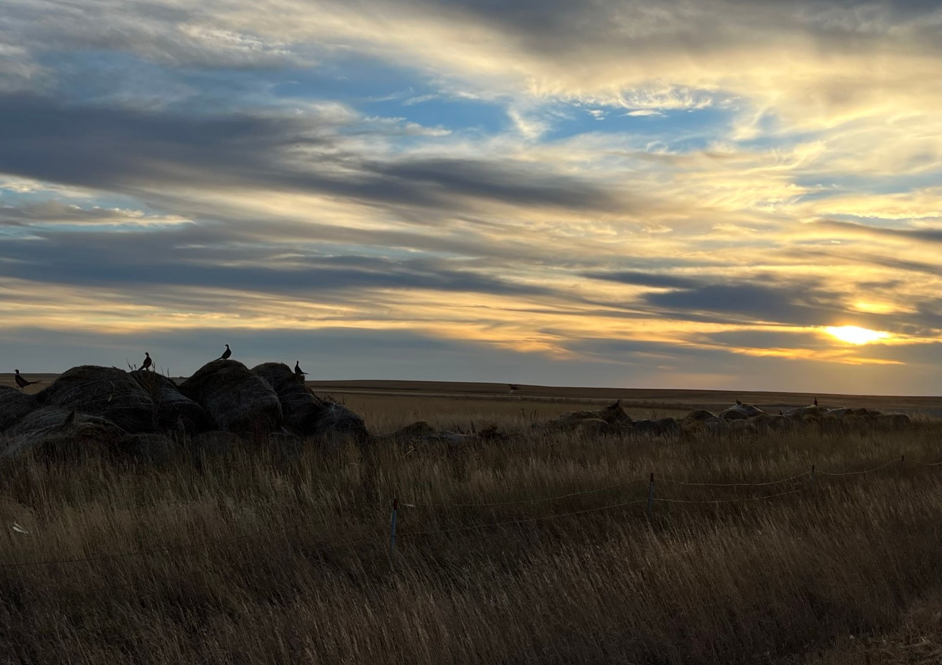 A sunset over a dry grass field with rocks in the foreground.