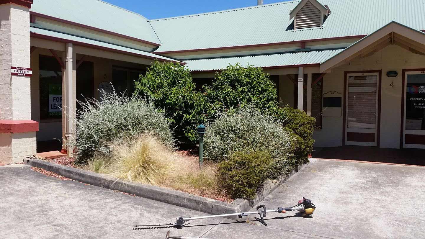 Untrimmed Bush — Garden Maintenance in Mittagong, NSW