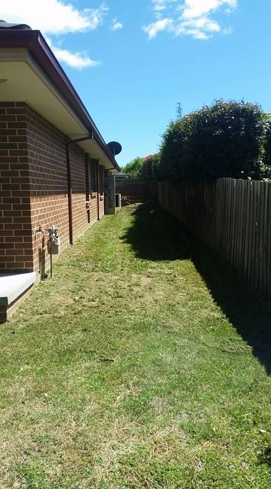 Trimmed Grass — Garden Maintenance in Mittagong, NSW