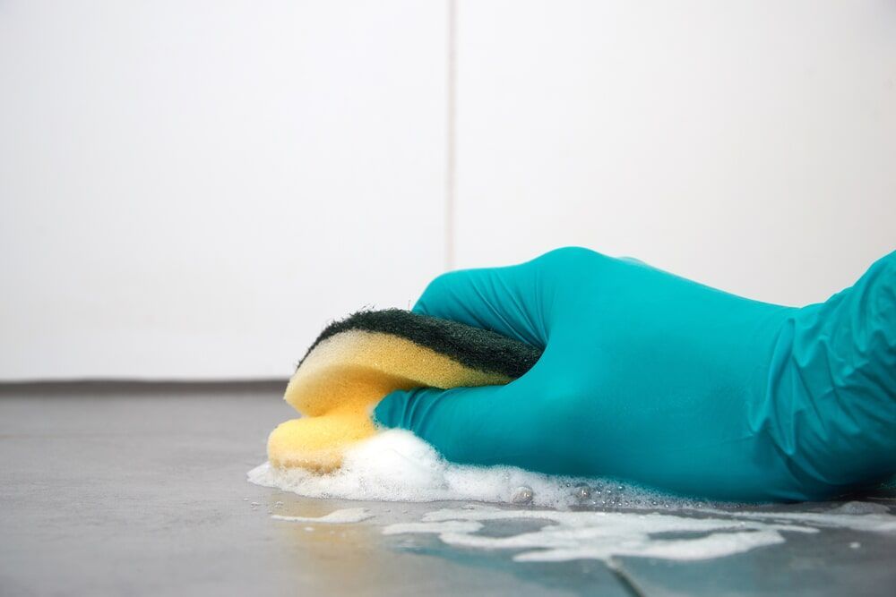 Cleaning Floor — House Maintenance in Mittagong, NSW