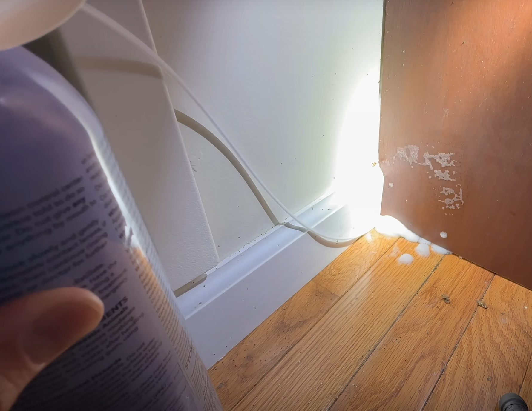 Pest Control | Spraying Insecticide in office