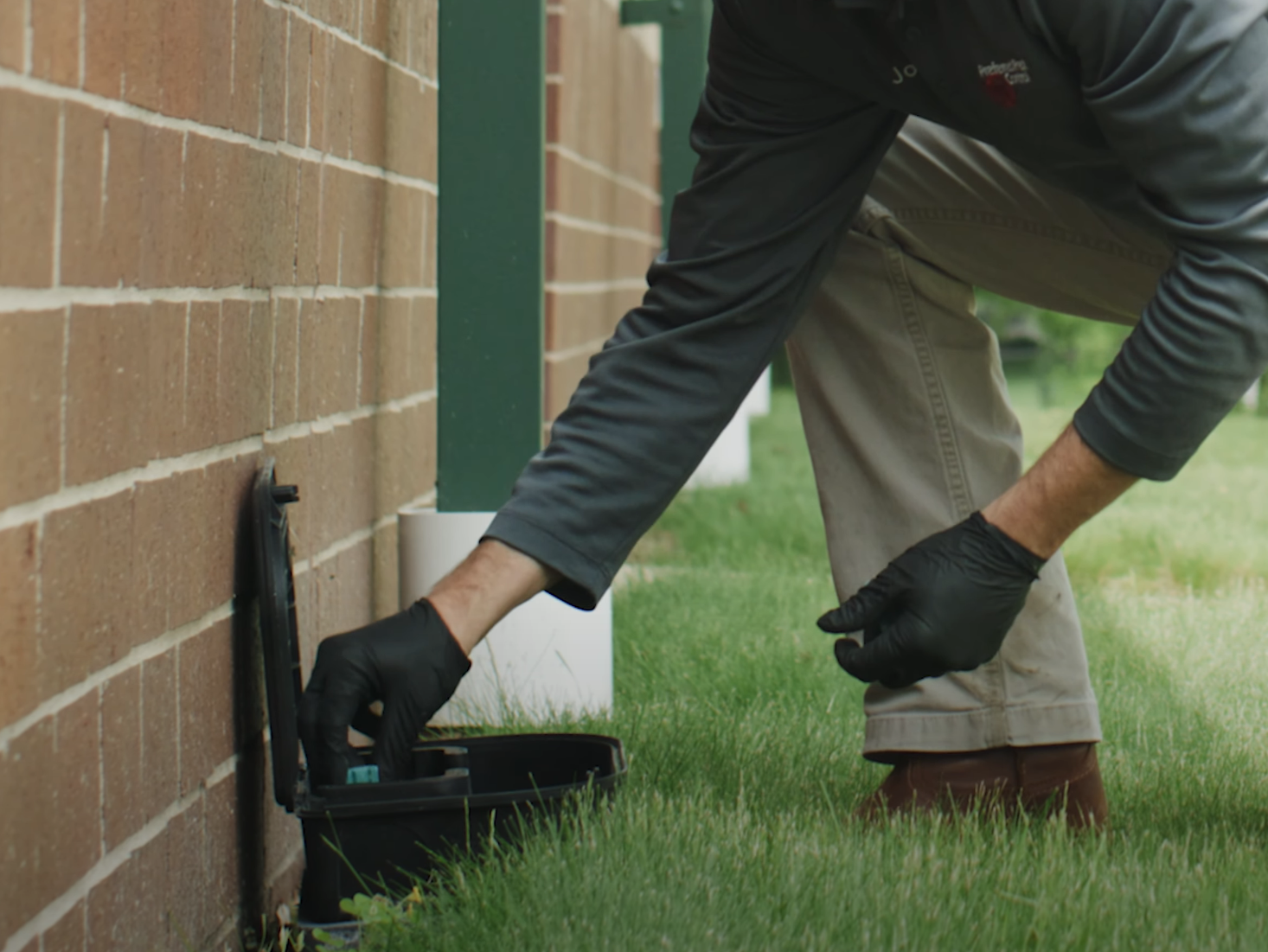 Pest Control | Applying Insecticide to Outdoor Venue
