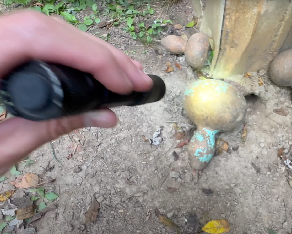 Rodent poison installation