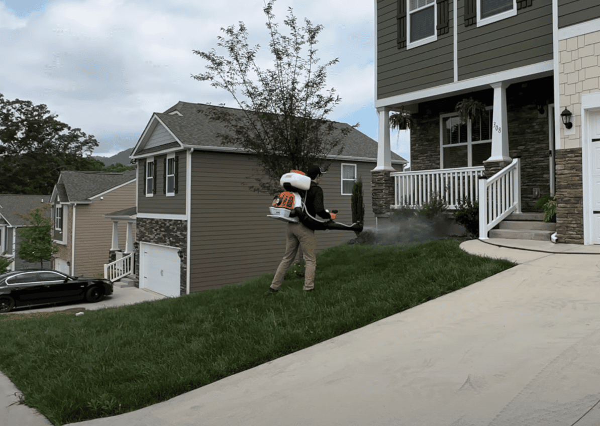 Pest Control | Spraying Insecticide on Trees