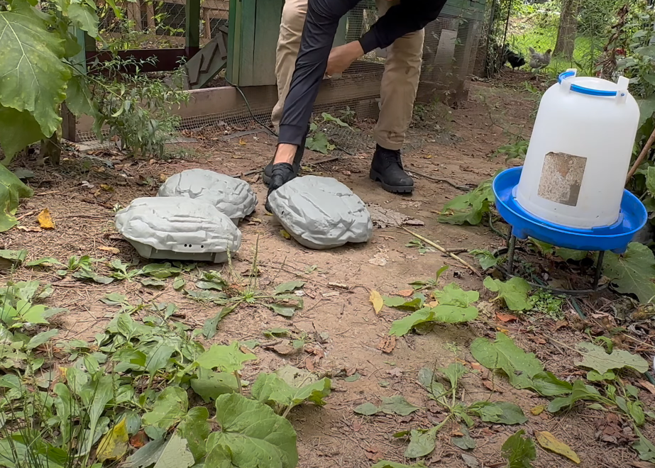 Pest Control | Rat Trap Installation