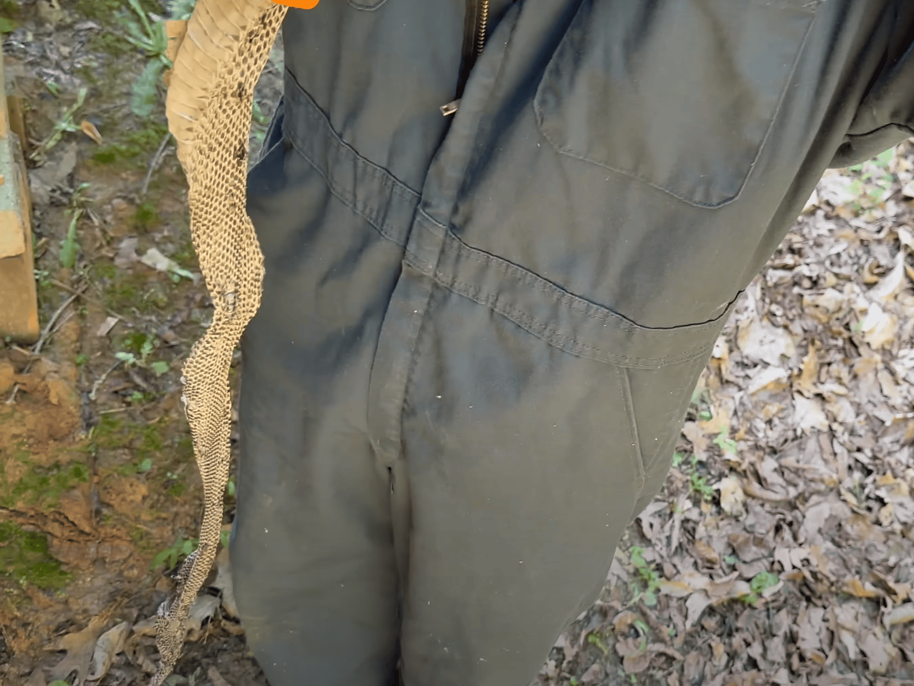 Pest Control | Exterminators High Fiving