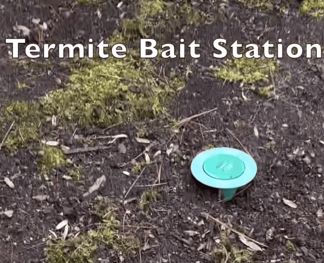 Pest Control | Applying Insecticide underneath wooden frame for termites