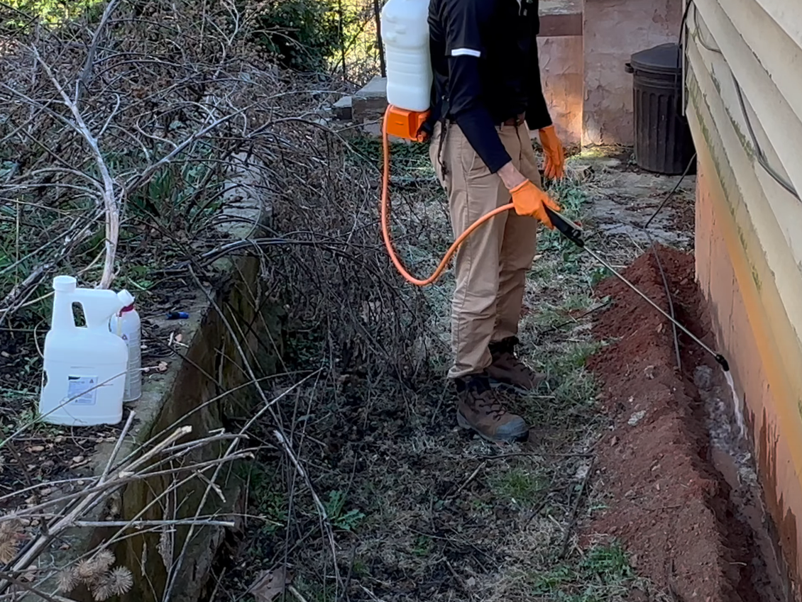 Pest Control | Termite Bait Installation