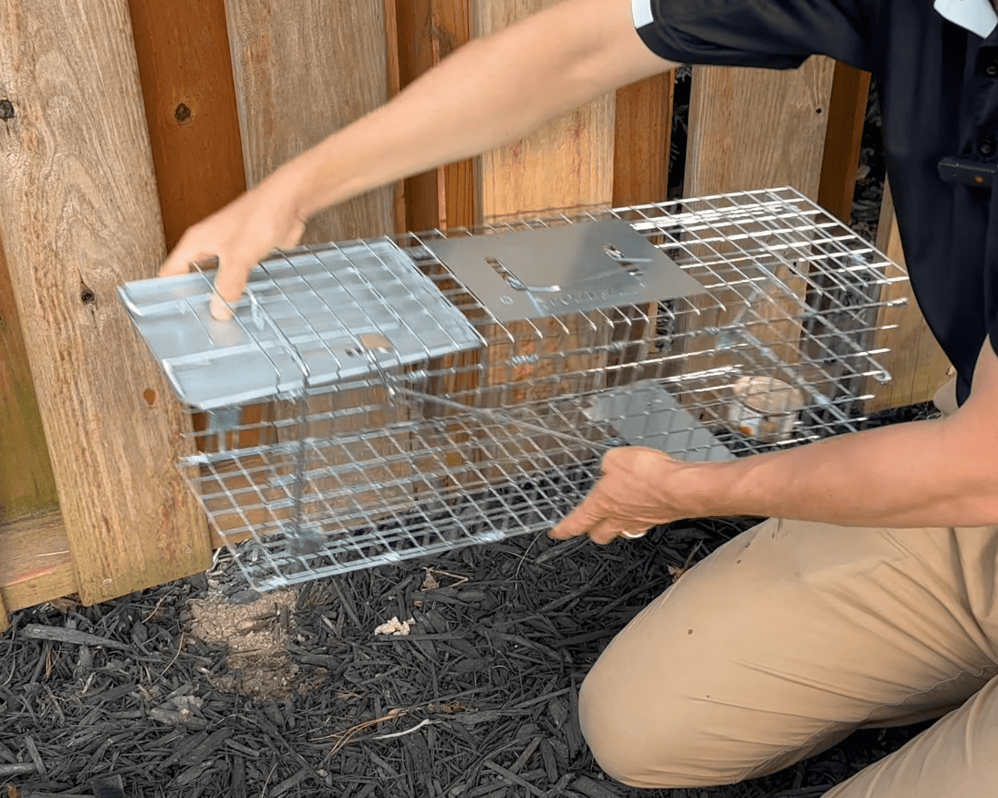 Pest Control | Rat Trap with Bait