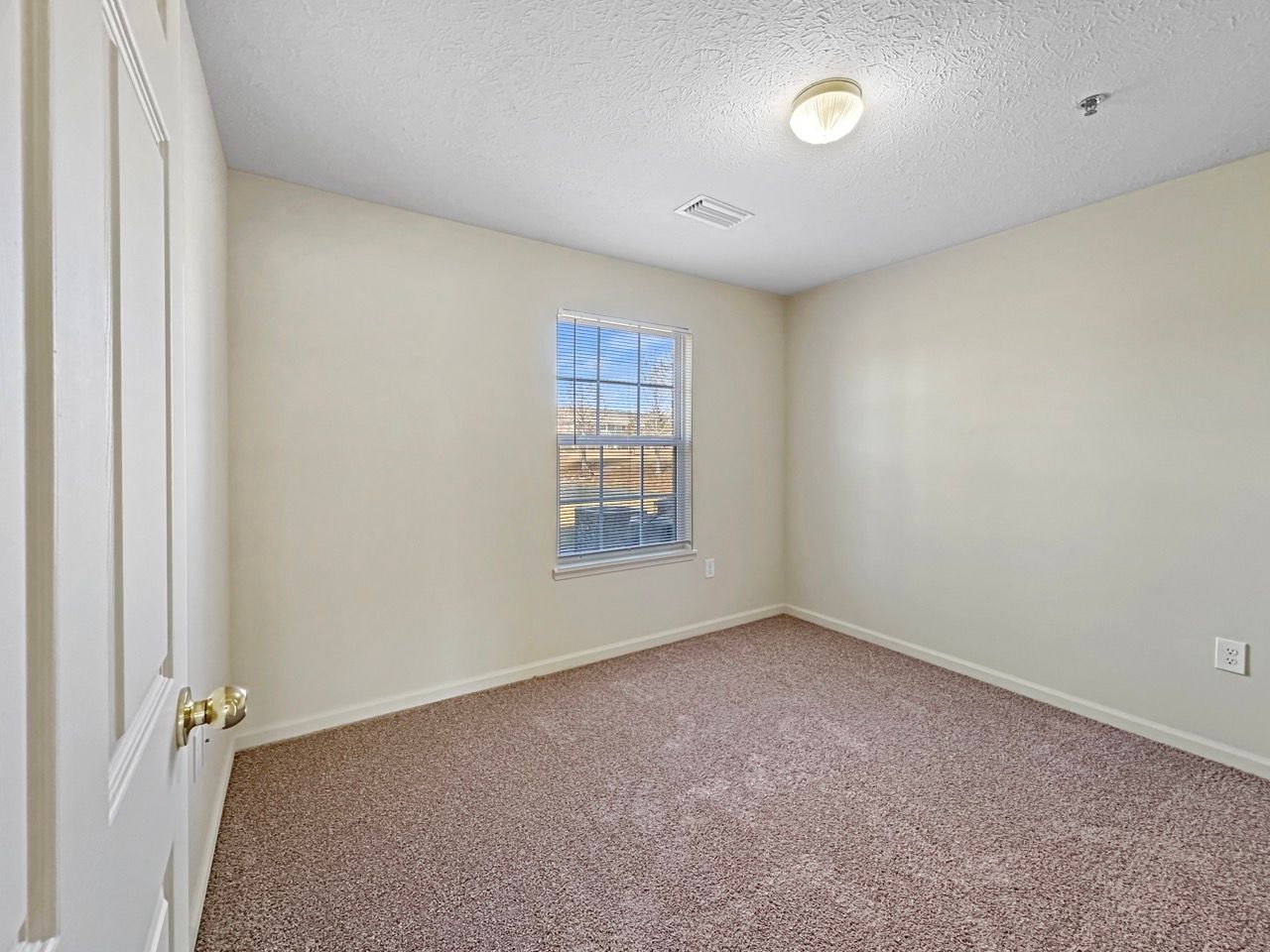 Empty room with beige walls, brown carpet, window, and closed door.