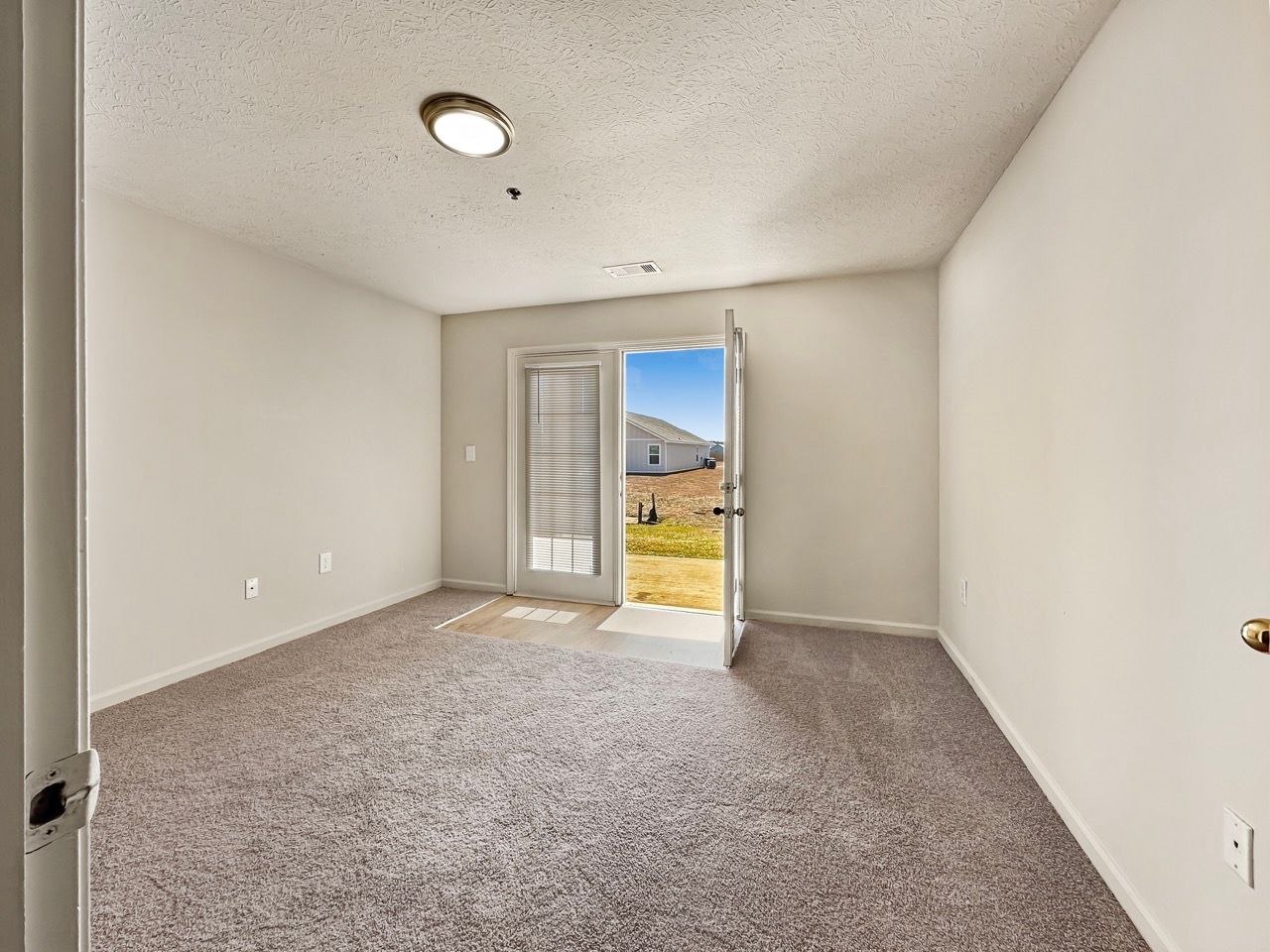 Empty room with light-colored walls and carpet. Sliding glass door opens to outside. Ceiling light fixture.