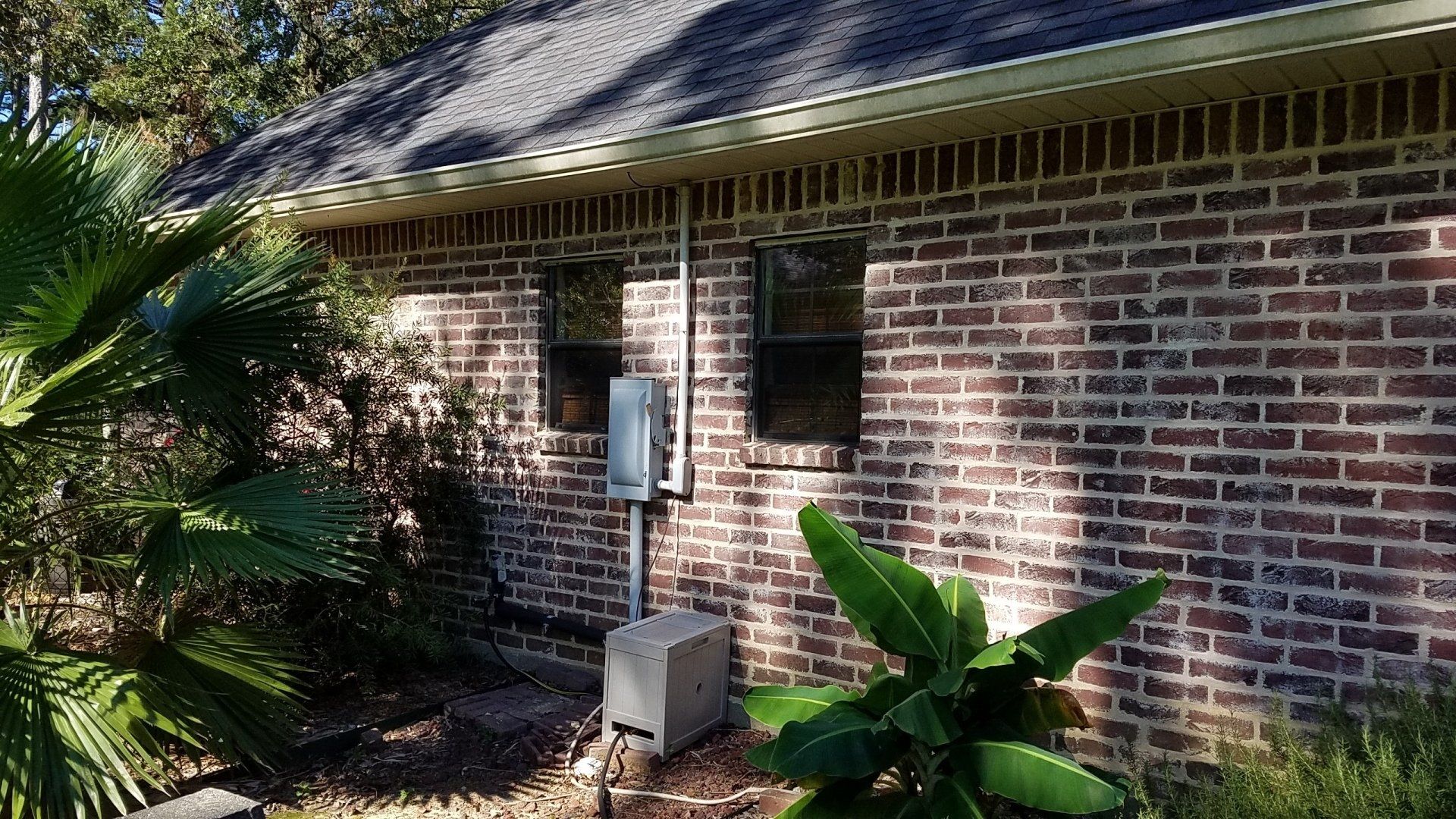 A brick house with a palm tree in front of it