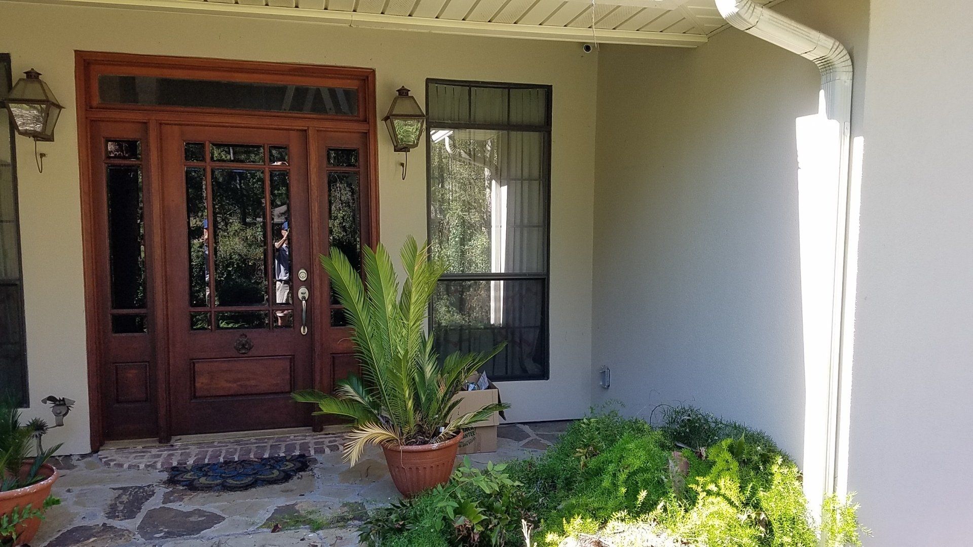 A house with a wooden door and a potted plant in front of it