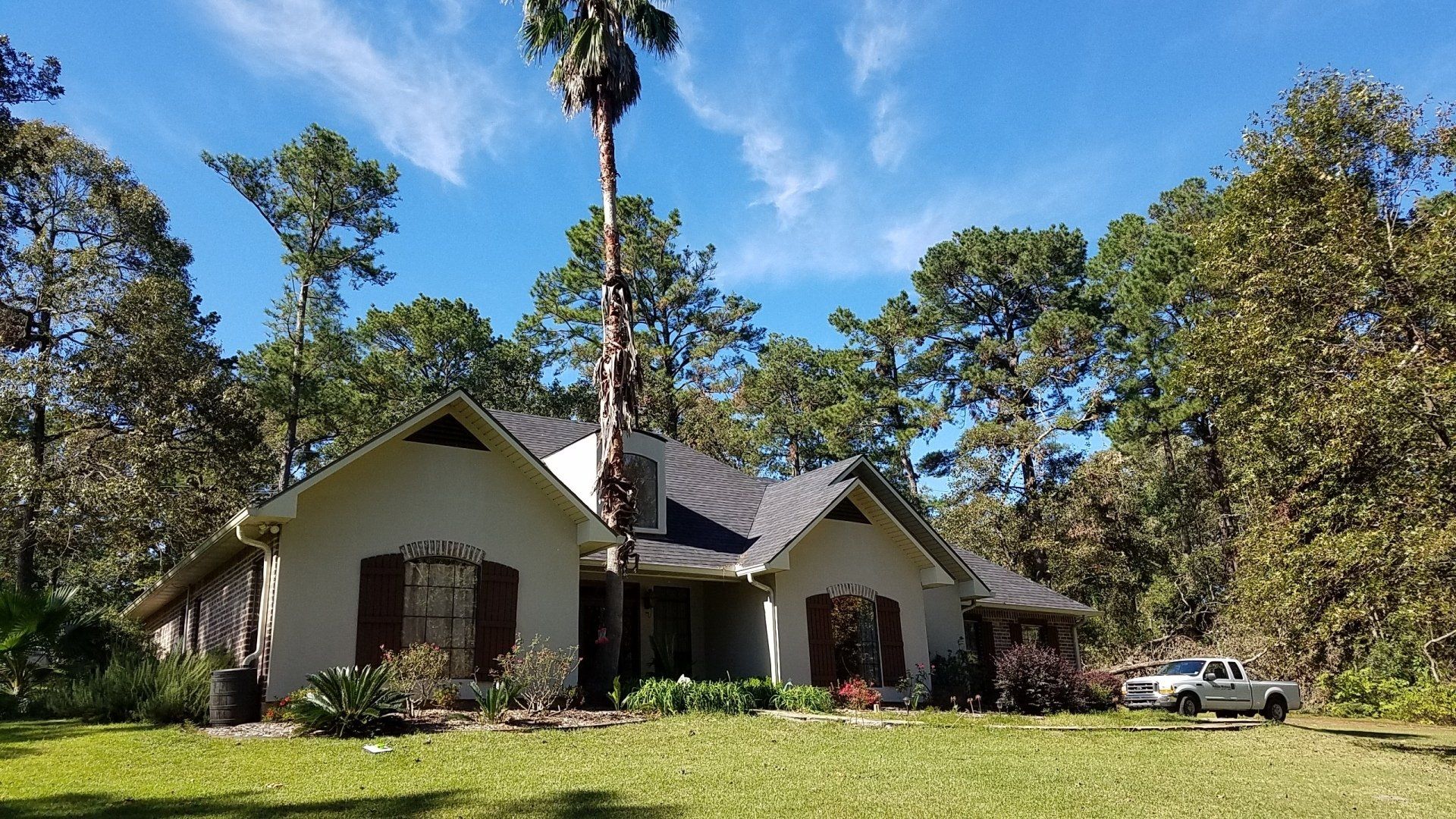 A white house with a palm tree in front of it