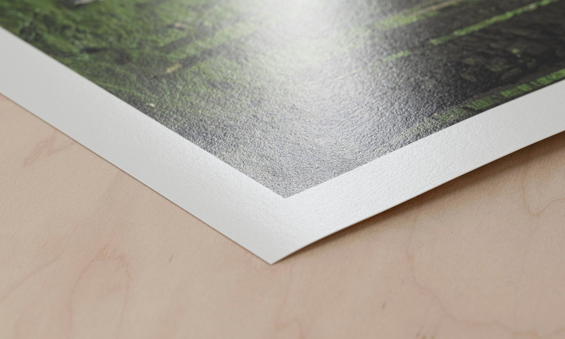 Hahnemühle image