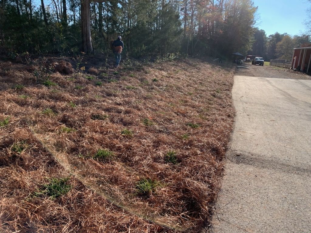 Gallery | Landscape Concepts