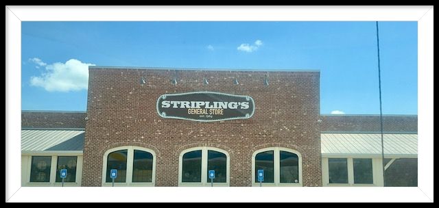 Gallery | Landscape Concepts